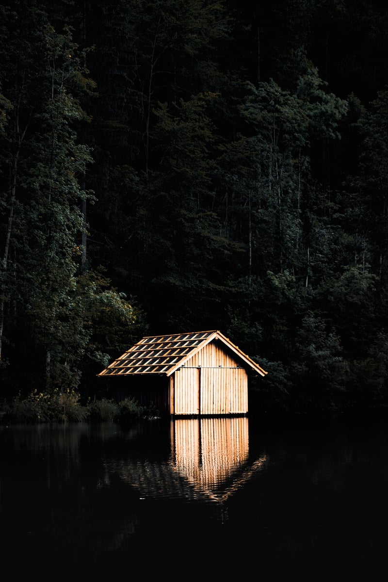 Forest Cabin