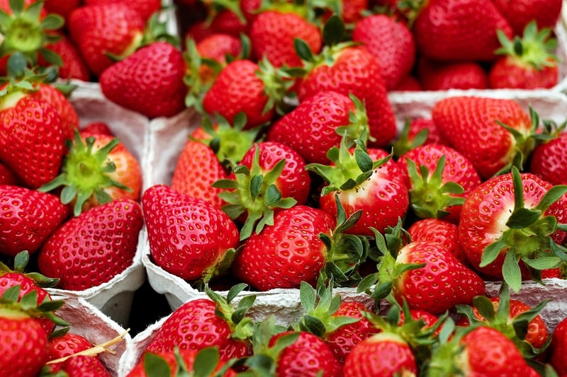 Food Market